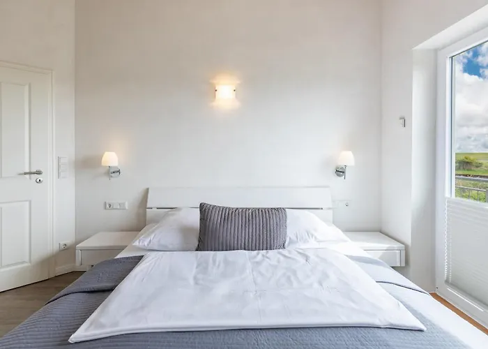 Silbermoewe Dagebüll